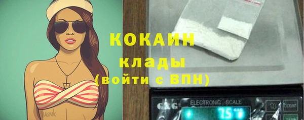 мяу мяу мука Магас